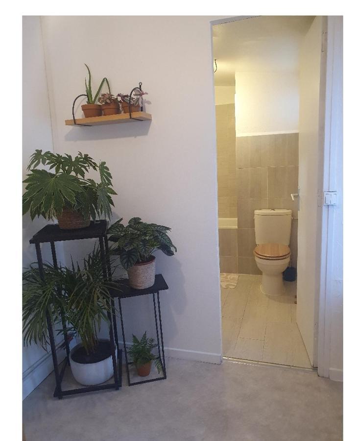 Maison Cosy Paris Orly Jardin Privee Vitry-sur-Seine Bagian luar foto
